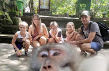 Bali Highlight Private Packages Tours 3 Days