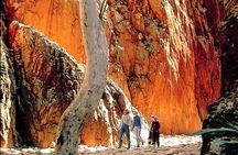 West MacDonnell Ranges Day Trip from Alice Springs