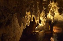Waitomo Glowworm Caves In a Private Small Group Tour-Auckland.