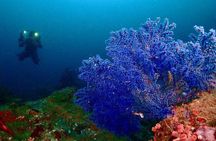 PADI Advanced Open Water Diver Course