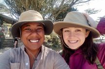 Great Zimbabwe Ruins Day Trip from Harare!