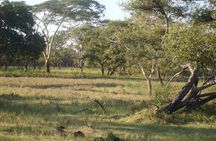 Baluran Trip