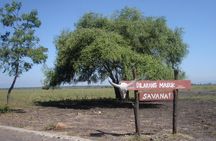 Baluran Trip