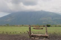 Baluran Trip