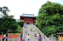 Kamakura Temples Private Guided Tour from Tokyo