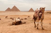 private tour to Grand Egyptian museum, Giza pyramids and lunch 