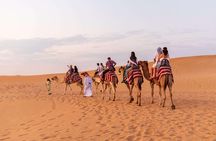 Adventurous Desert Safari With BBQ Dinner in Dubai
