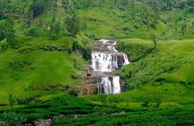 Nuwara Eliya Tour