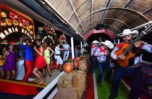 Xoximilco Night Cruise Experience + Transportation From Cancun & Riviera Maya