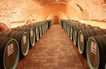 Full-Day Shabo Wine Culture Center Private Tour in Odessa