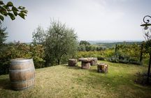 Wine Tour Experience at Agricola Tamburini