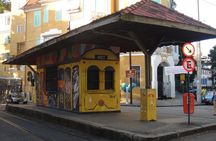 Full Day Tour in Rio: Corcovado, Selaron Steps and Park Lage