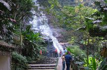 Full Day Tour in Rio: Corcovado, Selaron Steps and Park Lage
