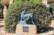 Private tour Cape of Good Hope and Cape Point from Cape Town
