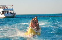 Dolphin House sea trip