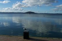 6.5 hour Small-Group Rotorua Naturally Shore Excursion - Tauranga