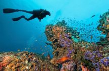 Diving in Hurghada