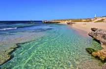 Rottnest Island All-Inclusive Grand Island Tour from Perth