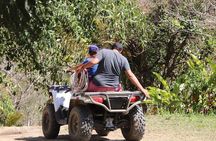 Combo - Jungle Single ATV + Jungle Bike Tour