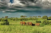 5 Days Murchison Falls and Kibale National Park