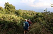 Kathmandu Best Scenic Day Hiking to Champa Devi Hill