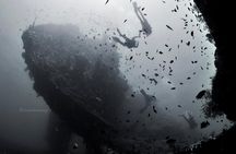 Bali Diving Day Trip-Manta Point/Tulamben Shipwreck-Fun Dive