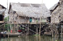 Kompong Phluk Mangroves & Stilt House Village