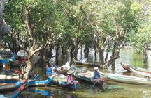 Kompong Phluk Mangroves & Stilt House Village
