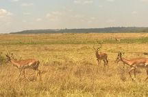 3 Days Amboseli National Park