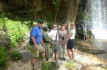 Lake Nakuru National Park: Day Trip from Nairobi