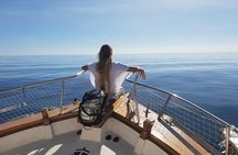 2 h Estepona Bay Tour