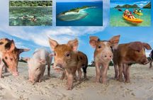 Pig Island Experience By Speed Boat, Snorkeling, Kayaking Relaxing on the Beach