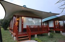 3 Days Maasai Mara Private Safari at AA Lodge from Nairobi