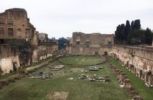 Colosseum, Forum and Palatine Hill small group tour