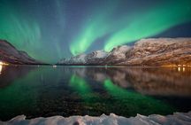 Tromsø: Northern Lights Chase Minibus Tour