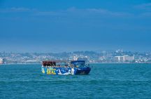 San Diego Seal Tour