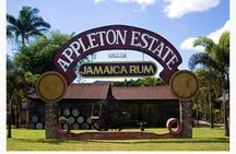 Appleton Estate Rum Private Tour