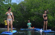 Key West Stand Up Paddleboard Rental 