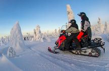 Lapland Snowmobile Safari from Levi