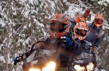 Lapland Snowmobile Safari from Levi