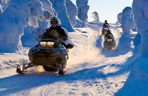 Lapland Snowmobile Safari from Levi