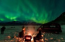 Anchorage Aurora Tour and Northern Lights Photo