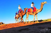 Atlas Mountains and 3 Valleys & Waterfalls - Camel Ride Marrakech