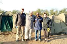 4 Days Tanzania Camping Safari from Mwanza to Serengeti & Ngorongoro Crater 