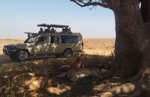 4 Days Tanzania Camping Safari from Mwanza to Serengeti & Ngorongoro Crater 