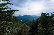 Emerald Falls Canadian Tour & Nature Experience