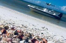 Shelling Tours - Fort Myers Beach / Naples