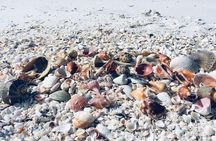 Shelling Tours - Fort Myers Beach / Naples