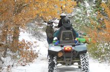 UTV OR Snow Mobile & Snowshoe Winter Adventures from Reno