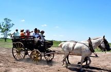 Gaucho Day Tour Santa Susana Estancia From Buenos Aires